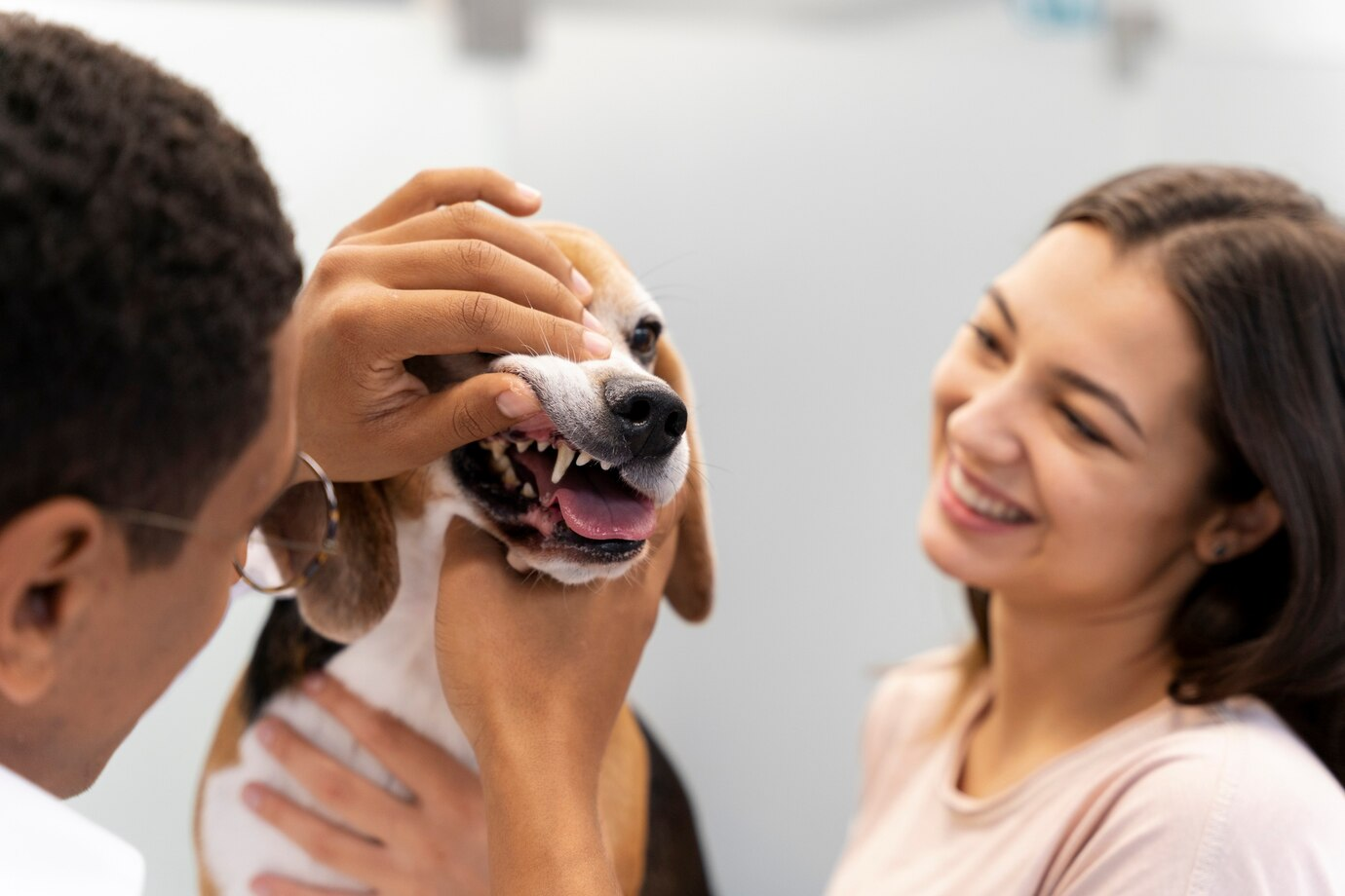 3 melhores suplementos de saúde pet para manter a saúde do seu companheiro de quatro patas!